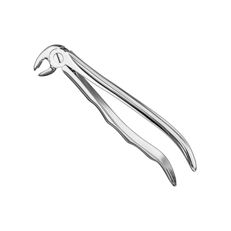 Extracting forceps, anat.
